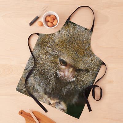 Adorable Curious Monkey