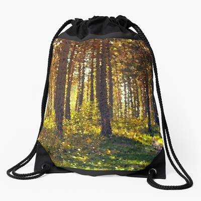 Autumn Forest Path