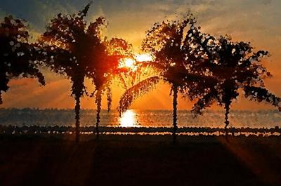 Beach Sunset