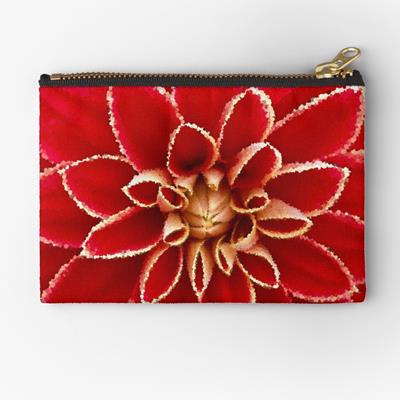 Big Red Dahlia