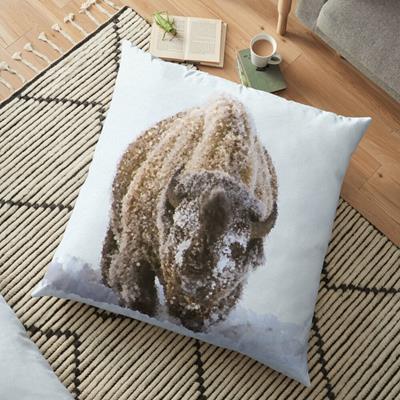 Bison in Snow