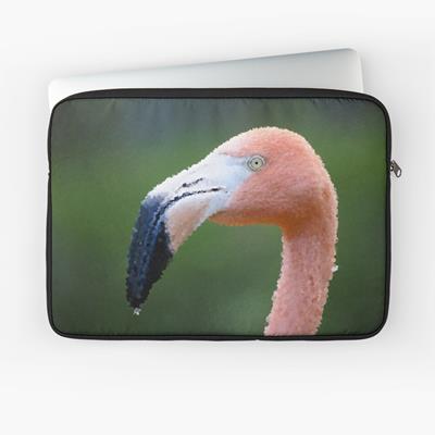 Bubbly Pink Flamingo