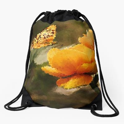Butterfly on Flowers