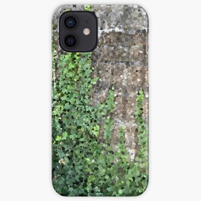 Climbing Plant on Stone Wall