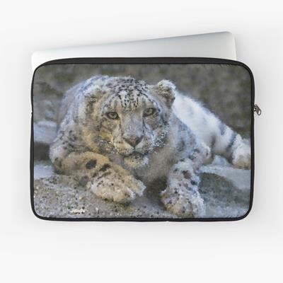 Curious Snow Leopard