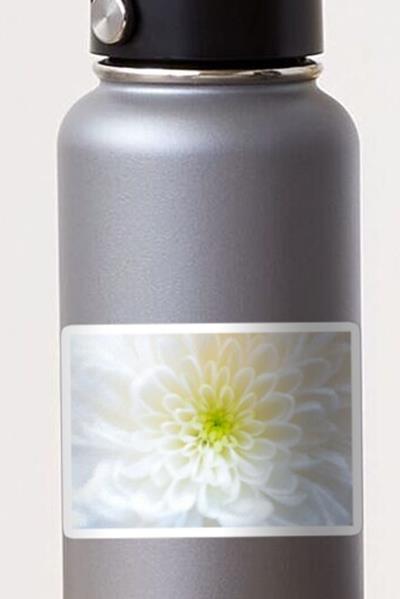 Delicate White Flower
