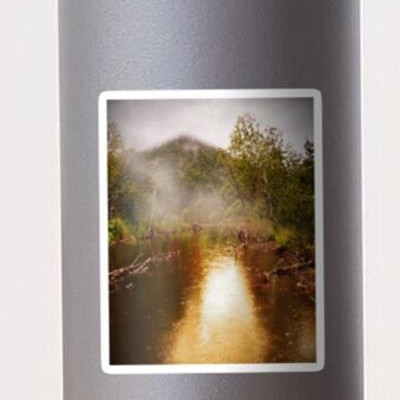 Foggy Forest Pond