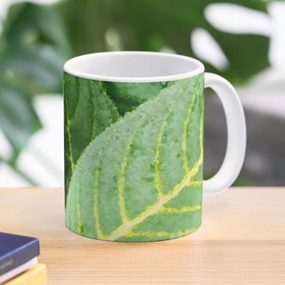 Green and Yellow Leaf Closeup