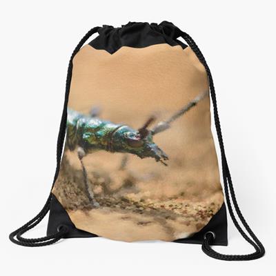 Iridescent Green Musk Beetle