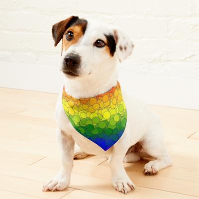 LGBTQ Pride Flag Bubbles