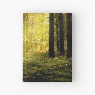 Magical Forest