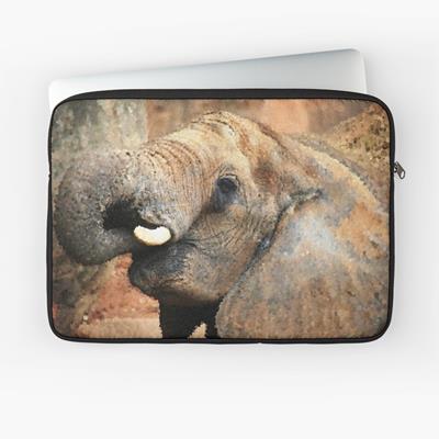 Munching Elephant