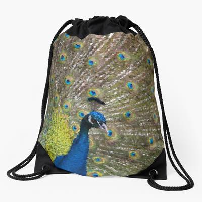 Peacock Plumiage