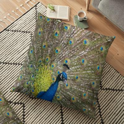 Peacock Plumiage