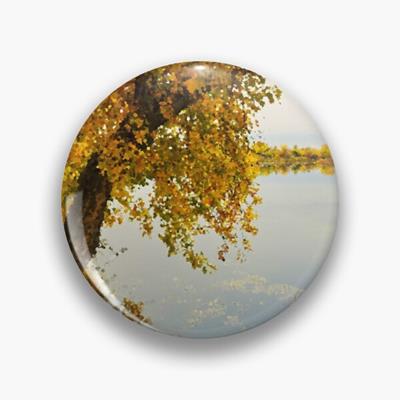 Pond in Autumn