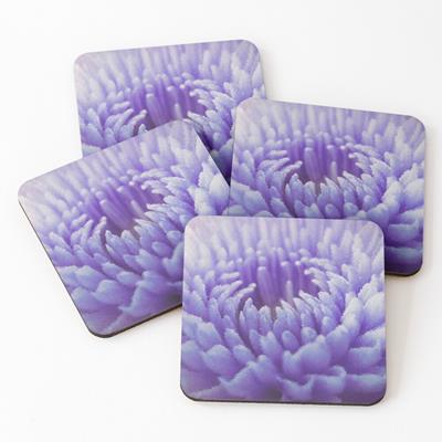 Purple Dahlia