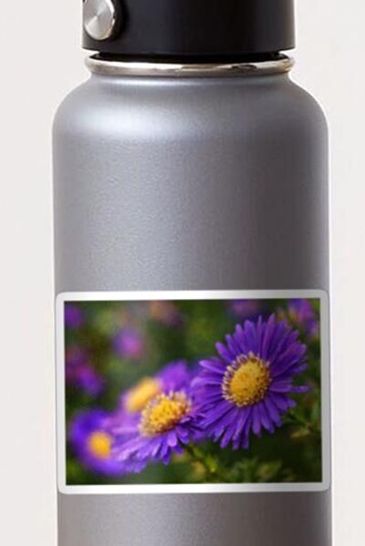 Purple Flowers Against Greenery