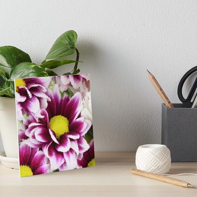 Purple and White Flower