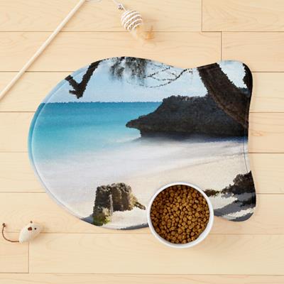 Rustic Beach Scene