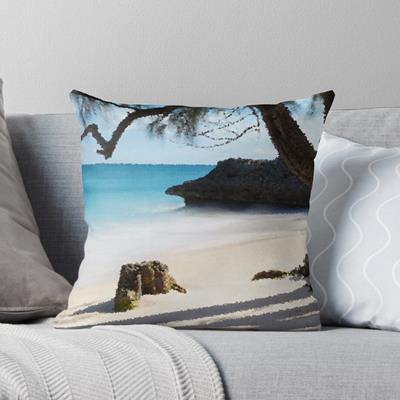 Rustic Beach Scene