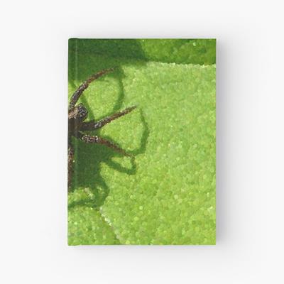 Spider Chilling on Leaves