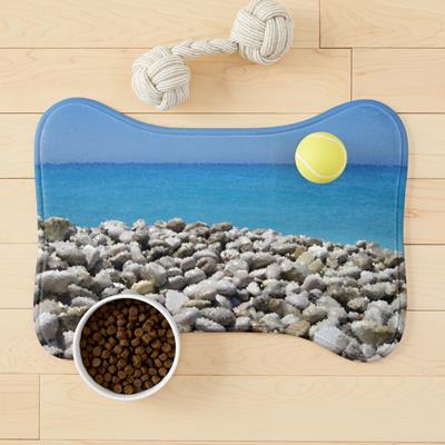 Stony Tropical Beach