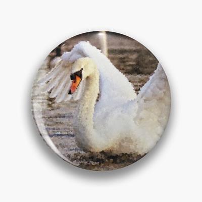 Strutting Swan