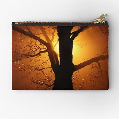 Sun Backlit Tree