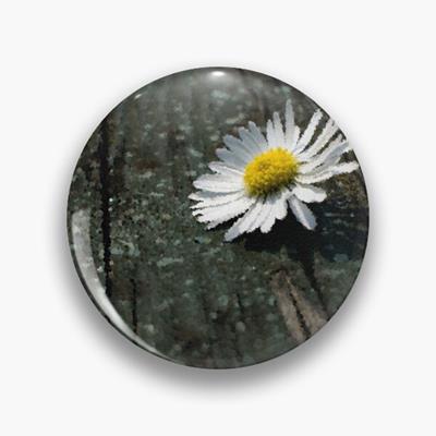 White Daisy on Wood Deck